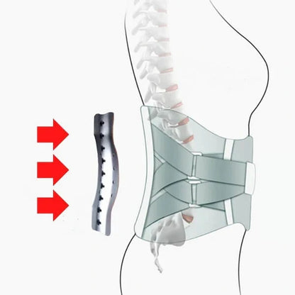 🔥Hot Sale - 49% OFF🔥 Julizsel - Orthopedic Support Belt with Magnets